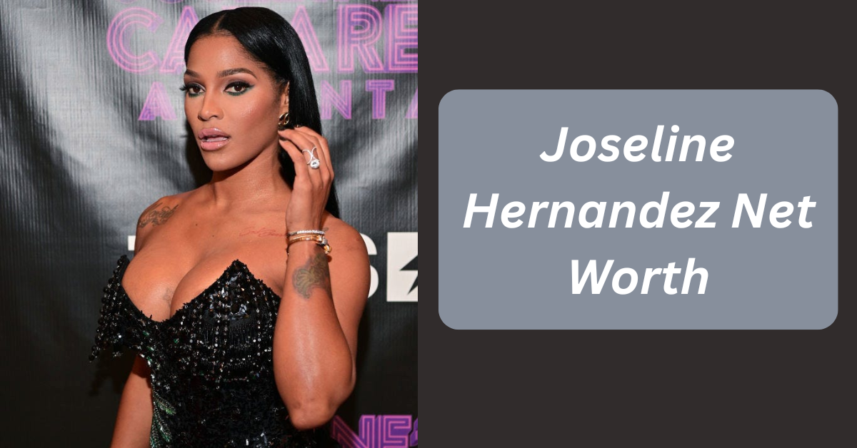 Joseline Hernandez Net Worth
